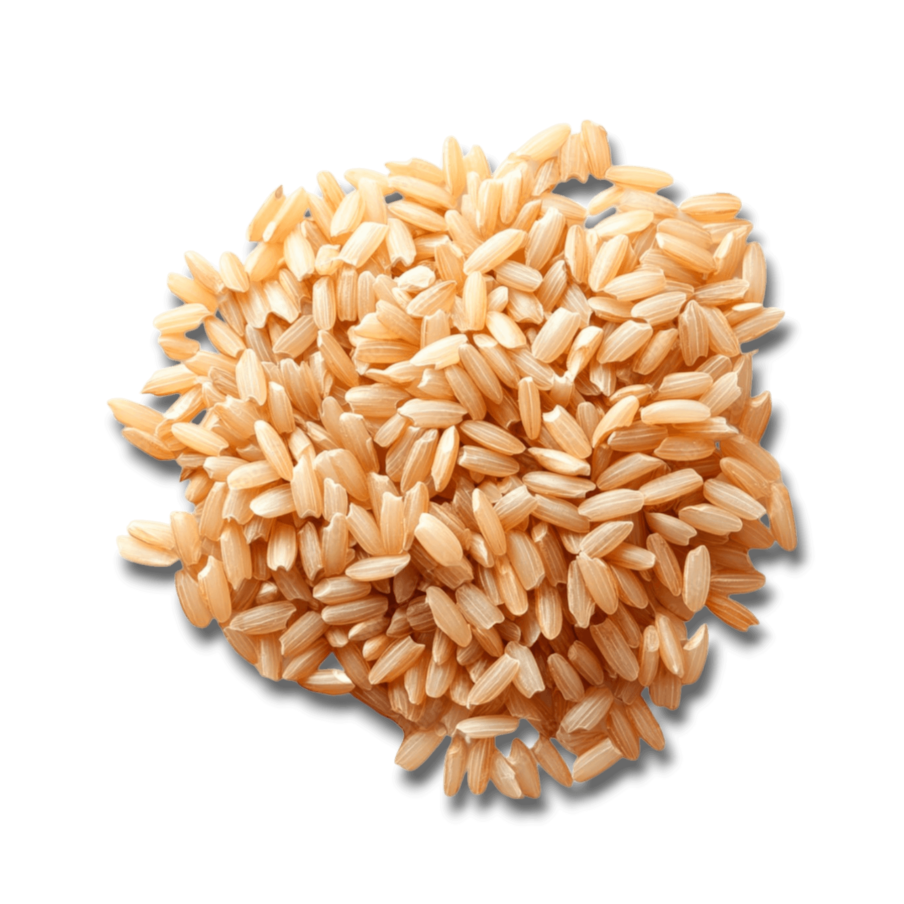 Organic Whole Wheat Ribe Rice (25kg)