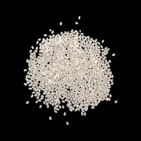 Selenio Sushi Rice (20 kg)