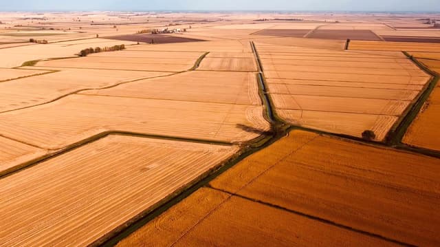 Gallery image 2acf62eb-4eb1-4182-9440-07c230f78bd1