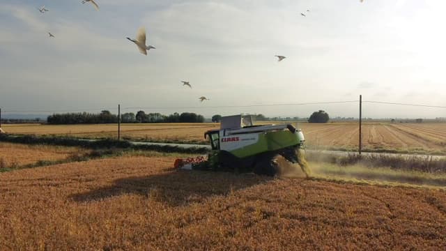 Gallery image add58e63-88b2-424d-89b1-938ece4c0710