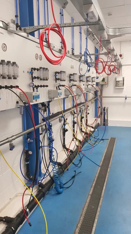 Gallery image 1b01283d-d9f6-44dc-826c-81332ba404ef