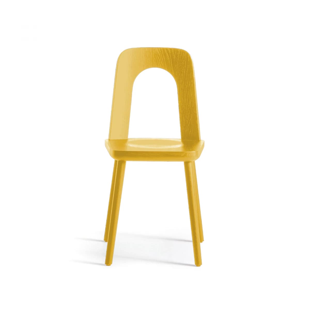 Ash Chair with Wood Legs (Arco)